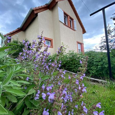 Le Refuge De L'Ours Villa Baerenthal Luaran gambar