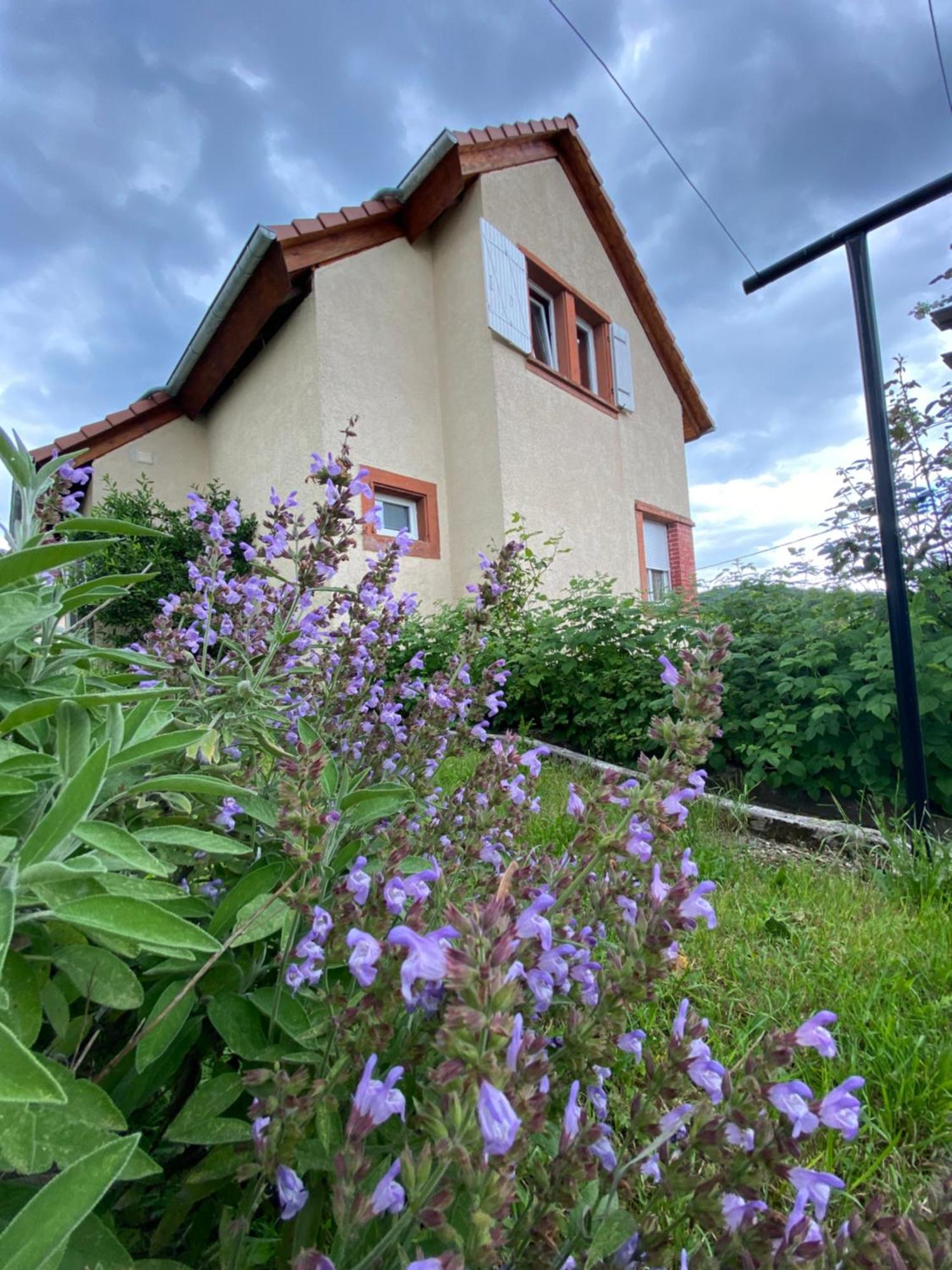 Le Refuge De L'Ours Villa Baerenthal Luaran gambar